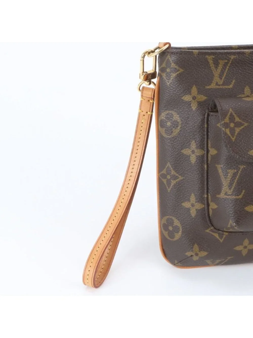 Louis Vuitton Monogram Partition Leather Pouch